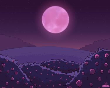 Strawberry Moon